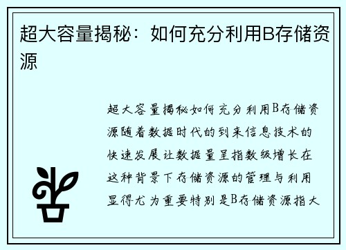 超大容量揭秘：如何充分利用B存储资源