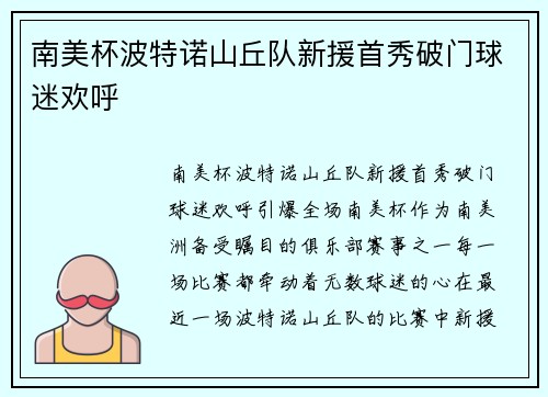 南美杯波特诺山丘队新援首秀破门球迷欢呼