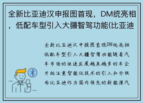 全新比亚迪汉申报图首现，DM统亮相，低配车型引入大疆智驾功能(比亚迪汉2022全新)